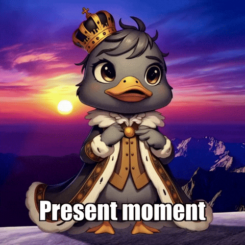 Wisdom Present Moment GIF by sirduckbeth