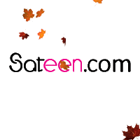 sateencom sateen sateencom Sticker