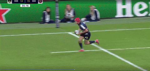 lorenzocalamai giphyupload GIF