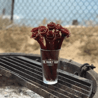 manlymanco beef jerky roses flowers for men man bouquet masculine flowers GIF