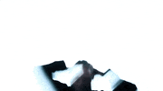 Feeling Crazy What Have I Done GIF by Johnossi