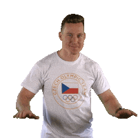 Czech Republic Dance Sticker by Český olympijský tým