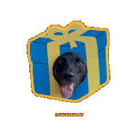 Dog Christmas Sticker