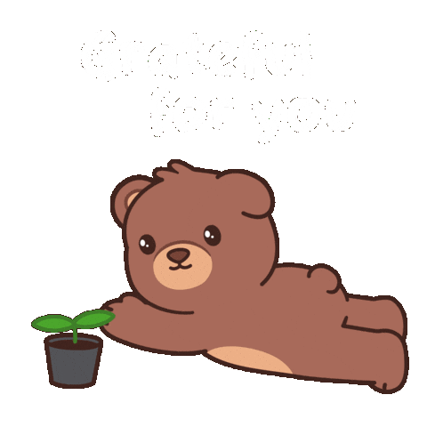 Youre The Best Teddy Bear Sticker by BEARISH