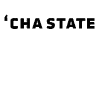 wichita ks wsu Sticker by Wichita State University