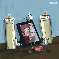 Animation Domination Fox GIF by gifnews