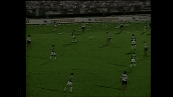 rincon ituano GIF by SE Palmeiras