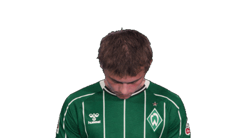Werder Bremen Sticker by Bundesliga