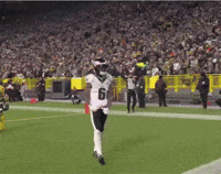 Philadelphia Eagles Go Birds GIF by Stock King Options