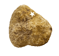 Truffle Tartufo Sticker by Peck Milano