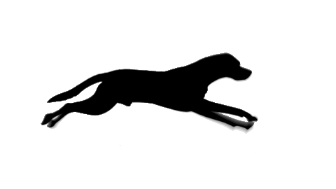 Dog Running Sticker