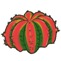 Cactus Sticker