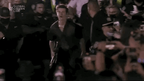 Shawn Mendes GIF by Global Citizen