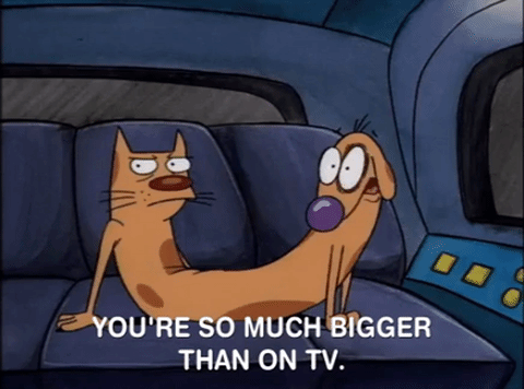 nicksplat GIF
