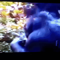 GIF by Klarity