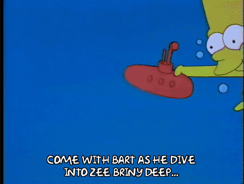 bart simpson episode 10 GIF