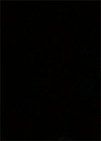 Flashing Live Action GIF by Dyan Jong