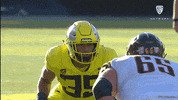 Football Oregon GIF by Pac-12 Network