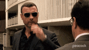 Ray Donovan Sunglasses GIF by PeacockTV