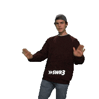 Chill Out Lol Sticker by SWR3