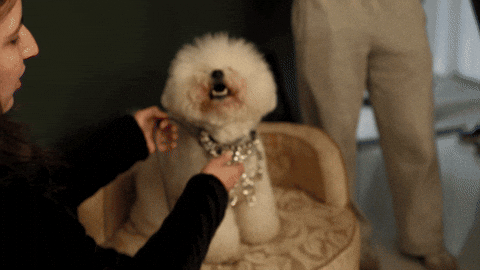 Zombies GIF by Hollywood Records