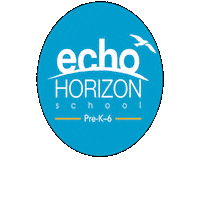 Echo Ehs Sticker