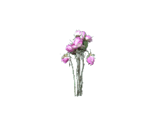 Flower Love Sticker by The Esprits