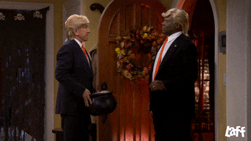 Look Alike Donald Trump GIF by Laff