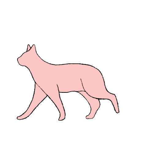 Cat Eye Sticker by E MERLIN MURRAY