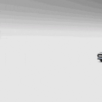 Cat Ride GIF by Verne Robotaxi
