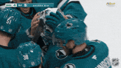 Happy San Jose GIF by NHL