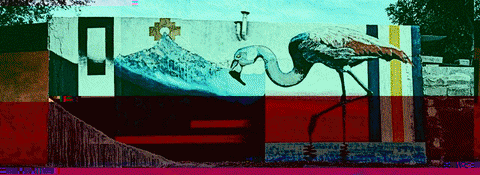 __pzre__ giphyupload nature flamingo streetart GIF