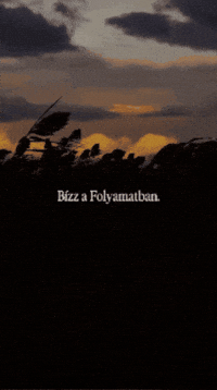 Bizalom GIF by Folyamat