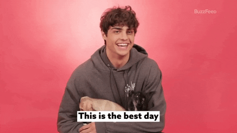 Happy Best Day Ever GIF by BuzzFeed