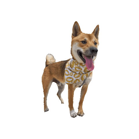 Shiba Inu Tot Sticker by Geekster Pets