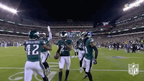 Philadelphia Eagles Football GIF by NFL