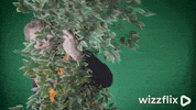 Wizzflix_ love heart kiss green GIF