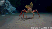 bbc one sea GIF by BBC