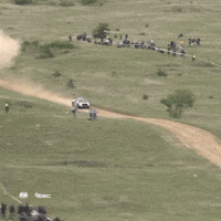 High Speed Close Call GIF by FIA European Rally Championship