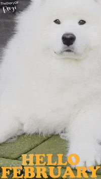 Winter Hello GIF