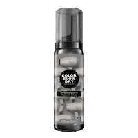 Color Blow Dry Sticker by Matrix