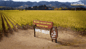 Napa Valley Wine GIF by Visit California