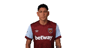 Edson Alvarez Whufc Sticker by West Ham United