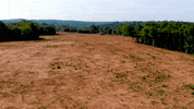 JCPropertyProfessionals logging drone footage birds flying land clearing GIF