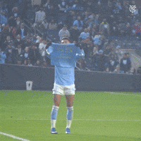 Stay Strong Major League Soccer GIF by NYCFC