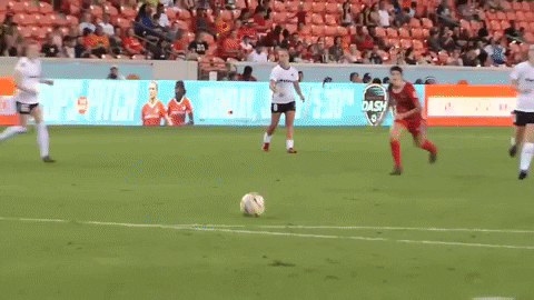 ashley hatch goal GIF by Washington Spirit