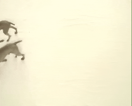 Fail William Wegman GIF by Jason Clarke