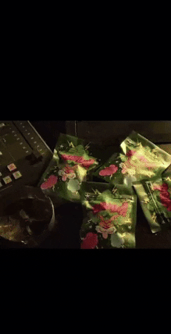 GIF by YOUNG STONER LIFE RECORDS