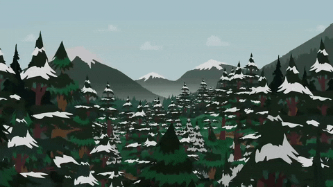 trees mountain GIF by South Park 