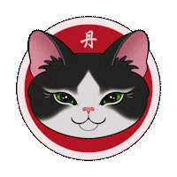 Cat Shock Sticker